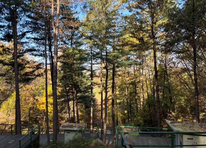 춘천숲자연휴양림 캠핑장 이미지 4