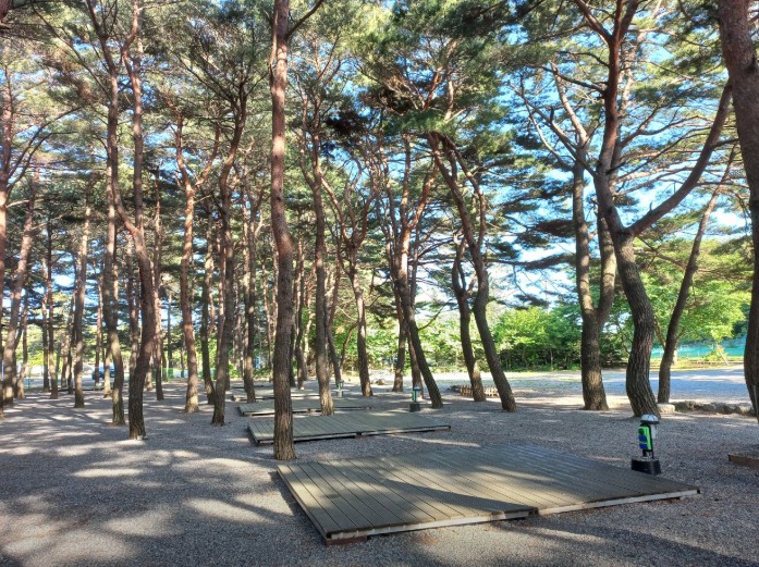 양양 솔바다 캠핑장 이미지 3