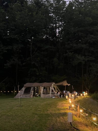 우드로더 이미지 5