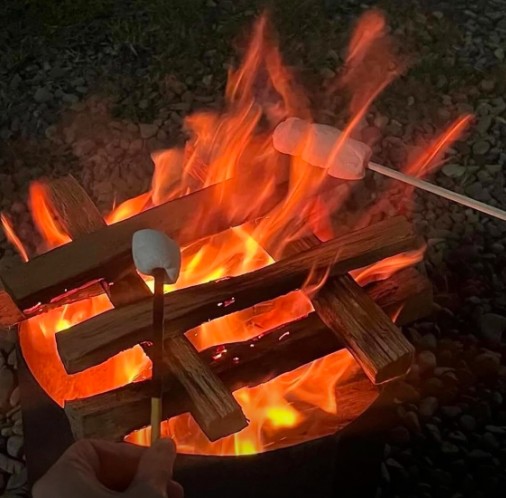 세종 다온숲 캠핑장 이미지 3