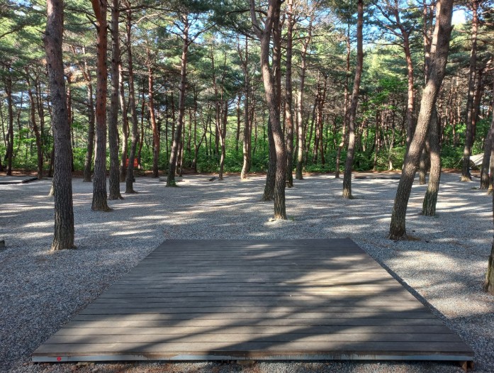 양양 솔바다 캠핑장 이미지 2