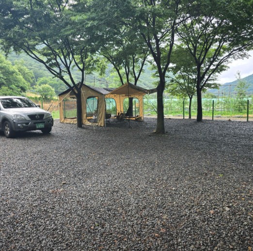 용천토리오토캠핑장 이미지 3