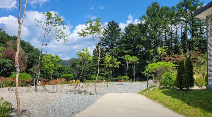 우니메이카 춘천점 이미지 4