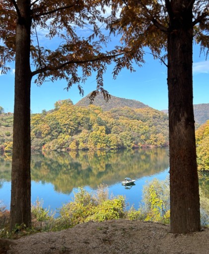 충주카누캠핑장 이미지 2