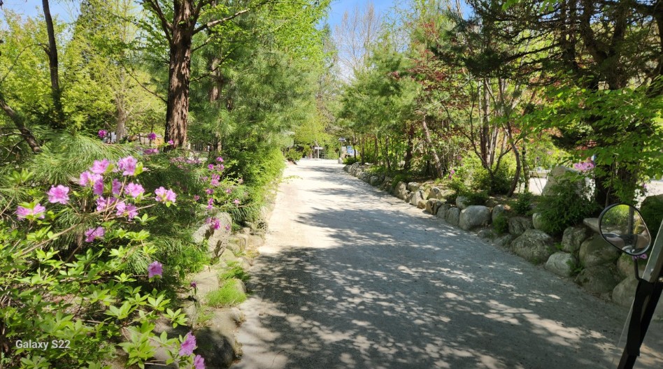 포천 도마치캠핑장 이미지 3