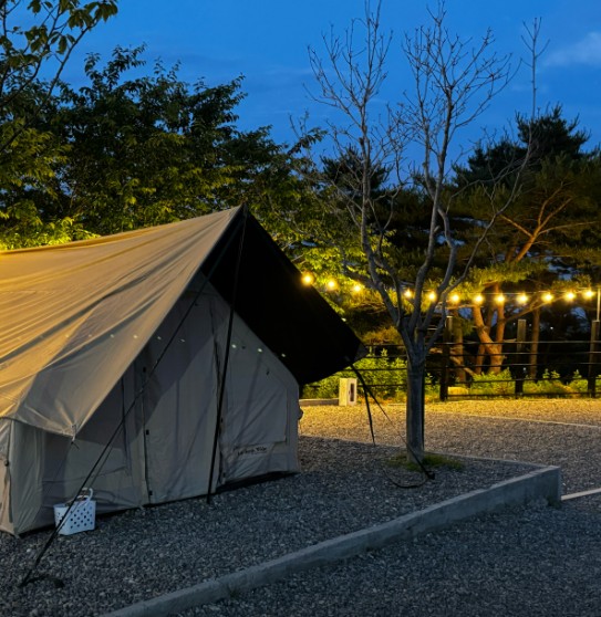 산바다캠핑장 이미지 7