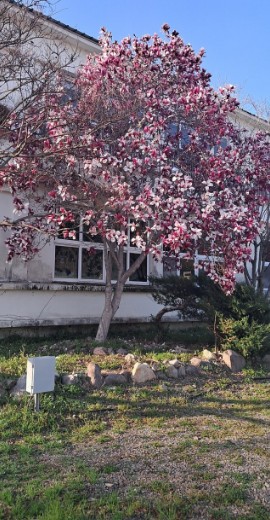 쿠키오토캠핑장 이미지 5