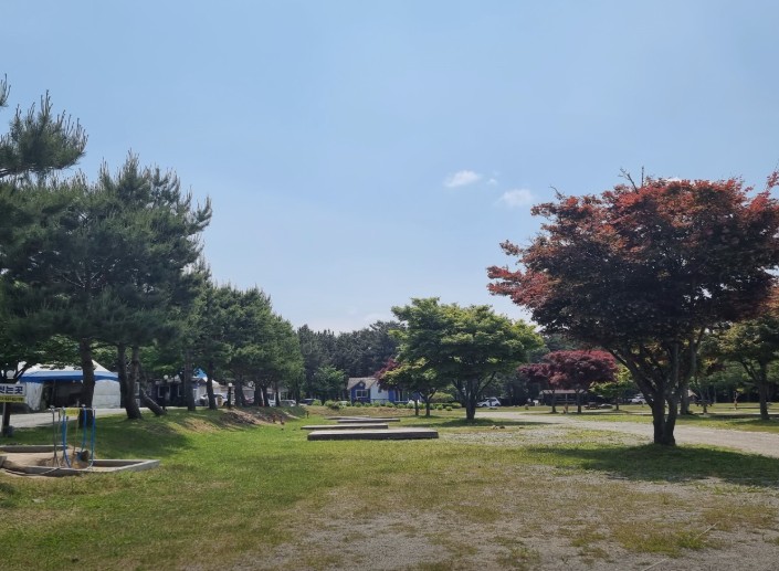 양양 바다캠핑장 이미지 8