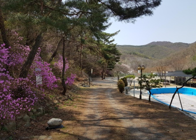 대구 가창농원 글램핑 오토캠핑장 이미지 6