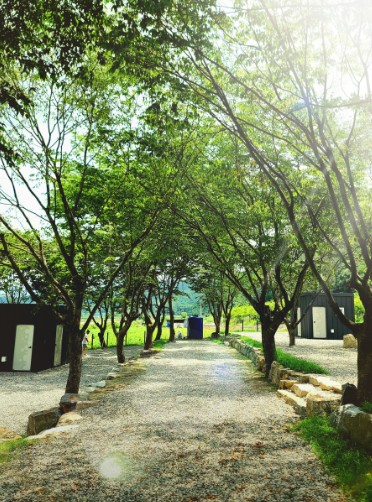 느티담길캠핑장 이미지 1