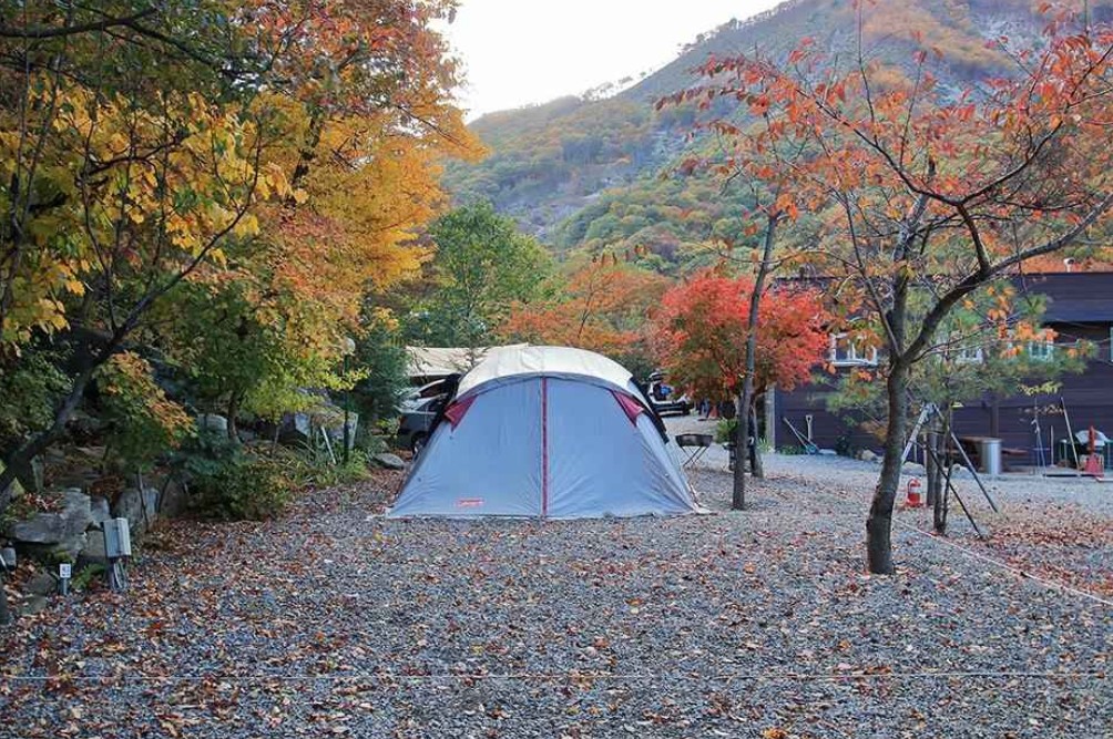 경주 월계수오토캠핑 이미지 4