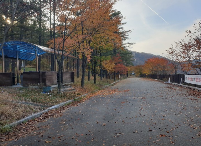 산소파크 글램핑 청송오토캠핑장 이미지 7