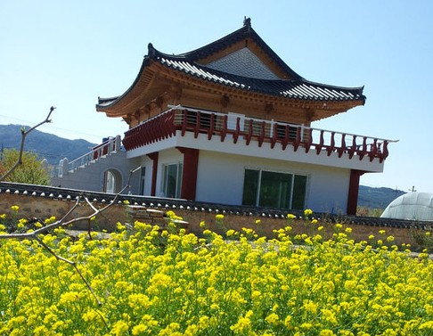 경주초우오토캠핑장 이미지 4