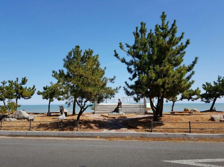 경주 관성해수욕장 솔밭캠핑장 이미지 7