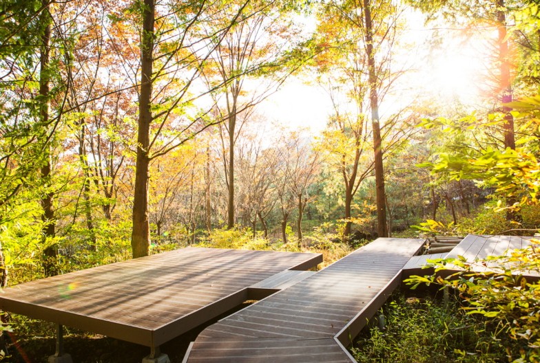 노꼬담꼬 이미지 3