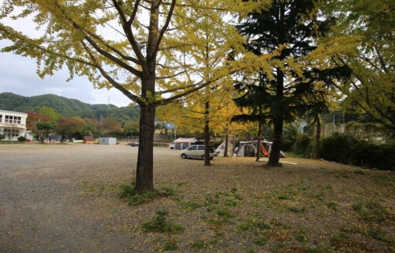 쿠키오토캠핑장 이미지 3