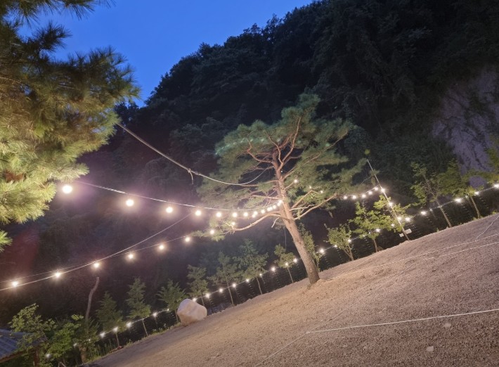 경주 라라캠핑장 이미지 2