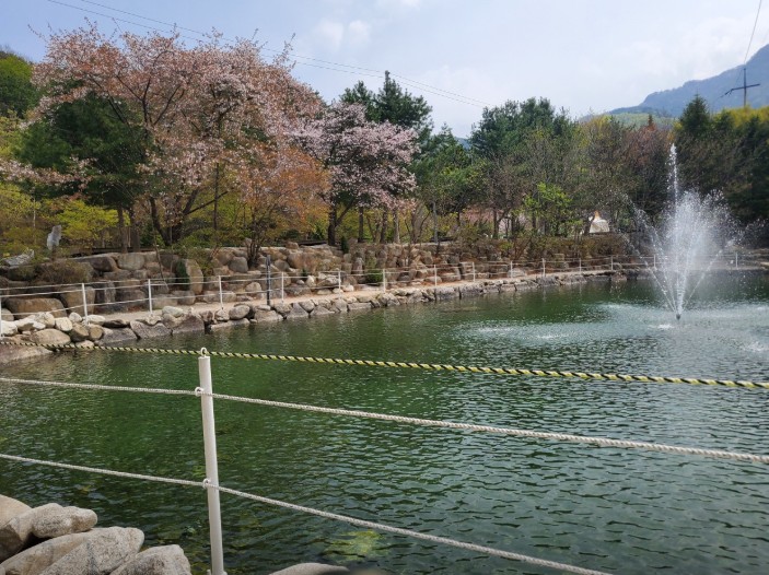 포천 도마치캠핑장 이미지 7