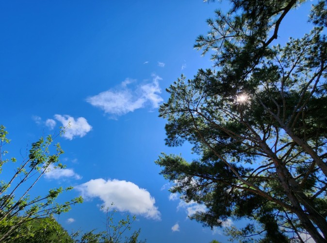 군위 솔밭야영장 이미지 6