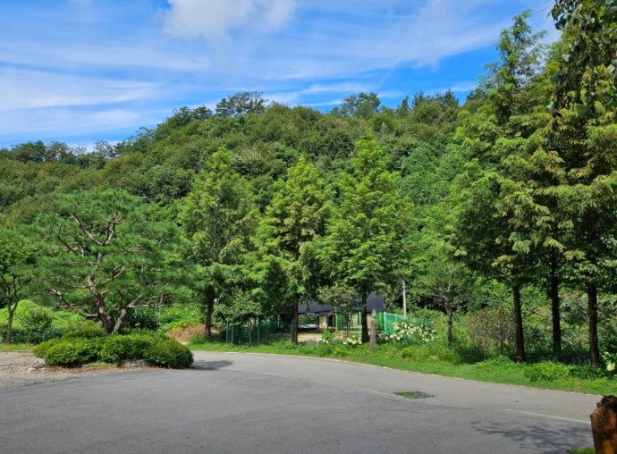 춘천 버즈글램핑 이미지 6