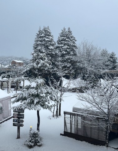 강화캠핑파크 이미지 8