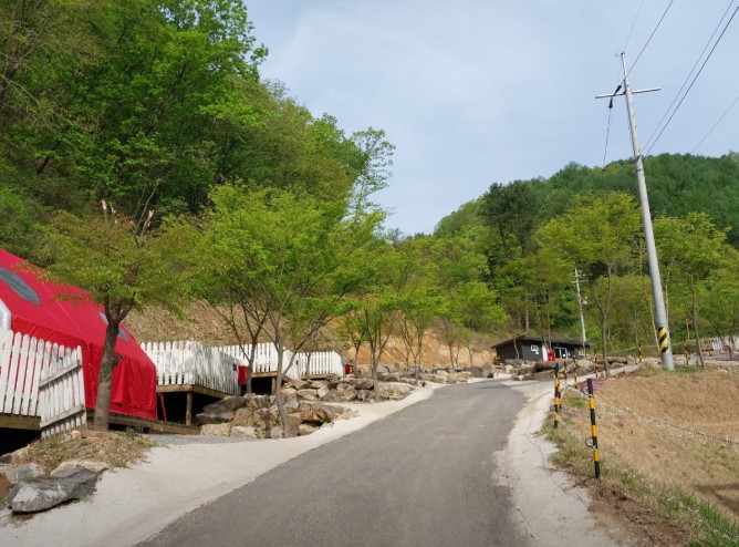 숲이야기캠핑장 이미지 2