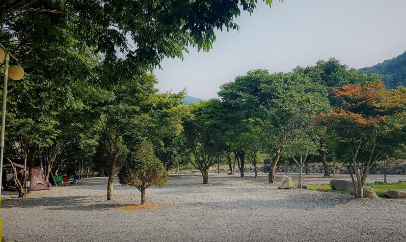 영월 하얀여울캠핑장 이미지 5