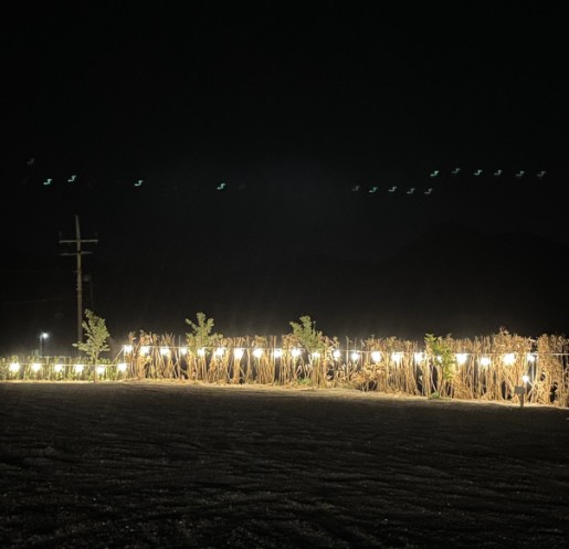 하이스토리 캠핑장 이미지 2