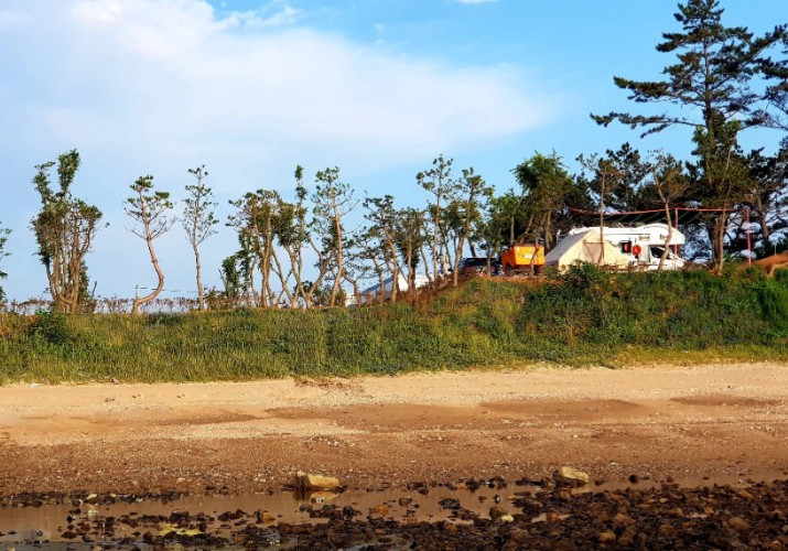 태안 파도와노을캠핑장 이미지 3