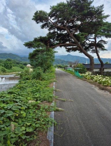 대구 솔담길 오토캠핑장 이미지 7