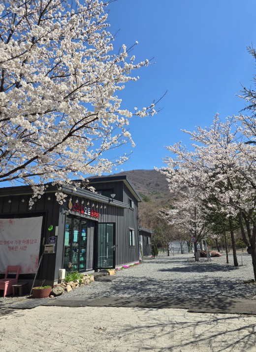 스마일 오토 캠핑장 이미지 2
