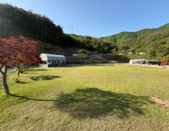 경주더숲캠핑장 이미지 6