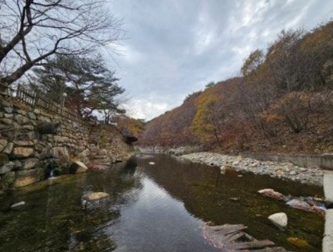 스마일 오토 캠핑장 이미지 7