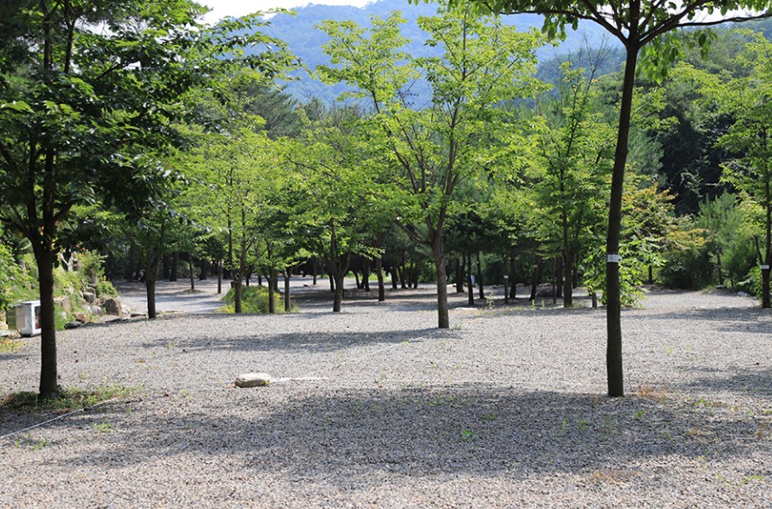 영월 황토와통나무 캠핑장 이미지 1