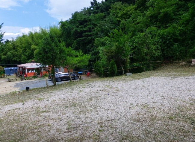 대구 바람숲 야영장 이미지 1
