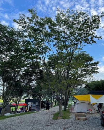 느티담길캠핑장 이미지 5
