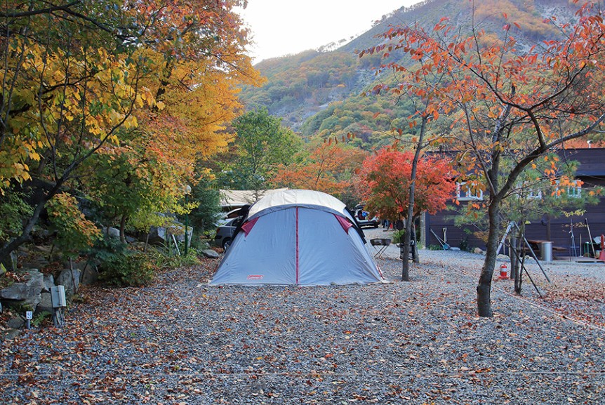 경주 월계수오토캠핑 이미지 3