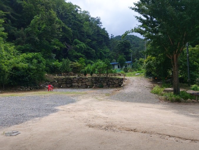 대구 바람숲 야영장 이미지 5