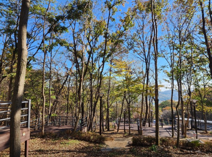 성북동숲속야영장 이미지 3