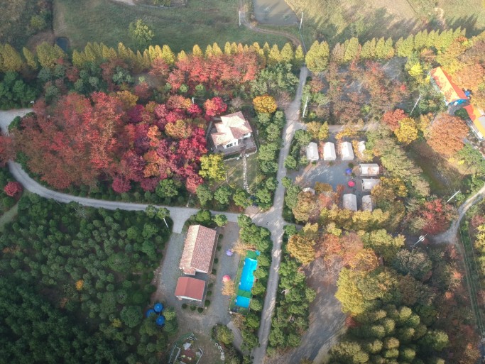 노꼬담꼬 이미지 1