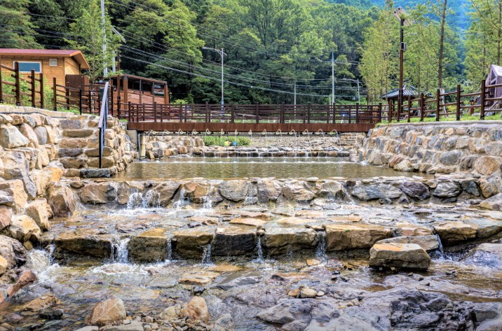 진밭골야영장 이미지 7