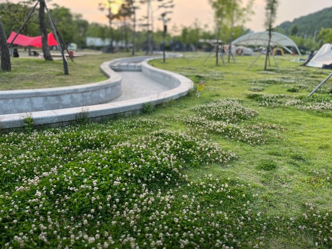 난지캠핑장 이미지 4