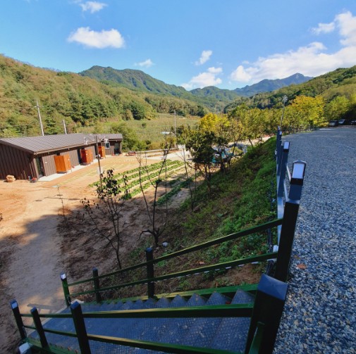 동산오토캠핑장 이미지 7