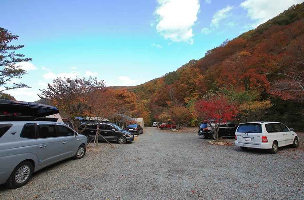 경주 월계수오토캠핑 이미지 5