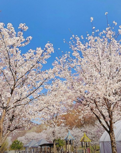 곤달비캠프 이미지 1