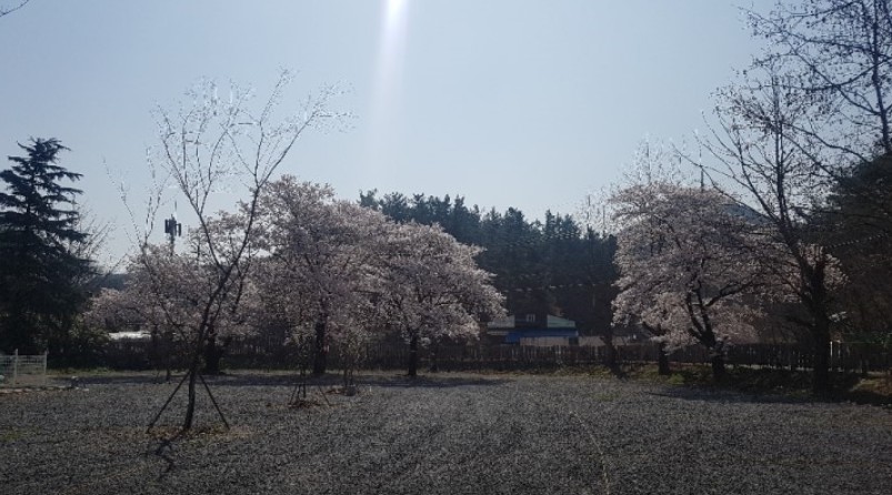 경주 캠프ing 이미지 7