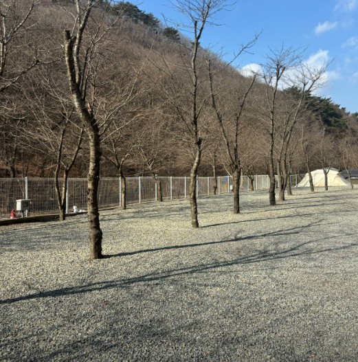 오솔길캠핑장 이미지 6