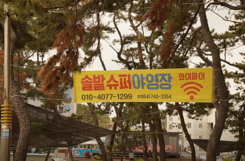 경주 관성해수욕장 솔밭캠핑장 이미지 1