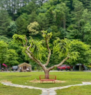 가평 캠프올모캠핑장 이미지 1