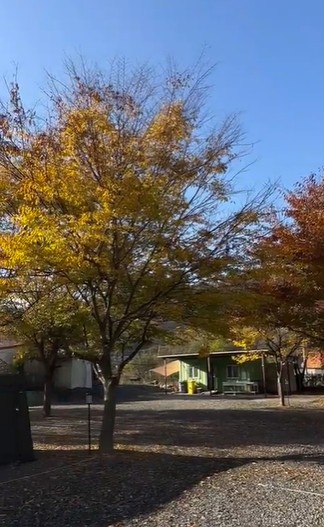 경주 트리팜캠프 이미지 4
